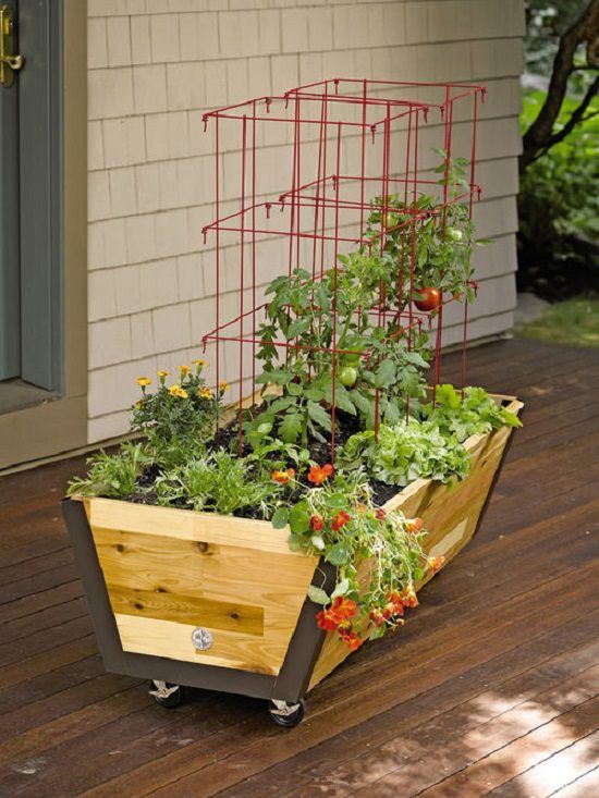 Gardens That Move | 22 DIY Mobile Garden Ideas That Are Totally .