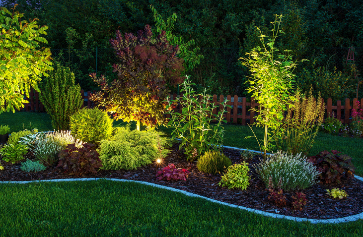 Modernize Landscape Design Ideas | Plant Professiona