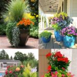 24 Stunning Container Garden Planting Ideas | Patio flower pots .