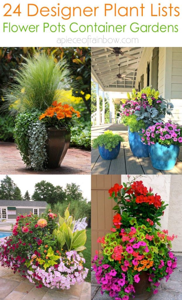 24 Stunning Container Garden Planting Ideas | Patio flower pots .