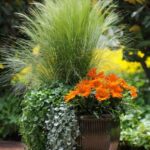 24 Stunning Container Garden Planting Ideas | Fall container .
