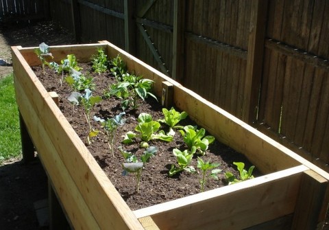 DIY Project: Vegetable Planter Box (plans, photos) | Stark Insid