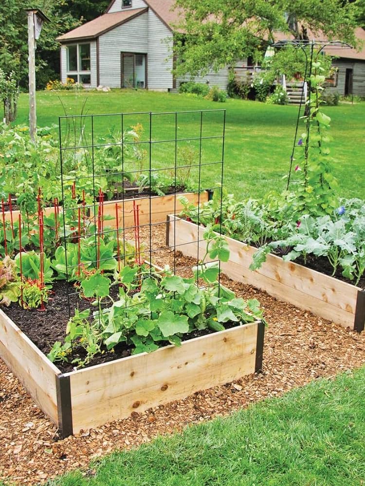 Amazon.com: Gardener's Supply Company Raised Garden Bed | Outdoor .