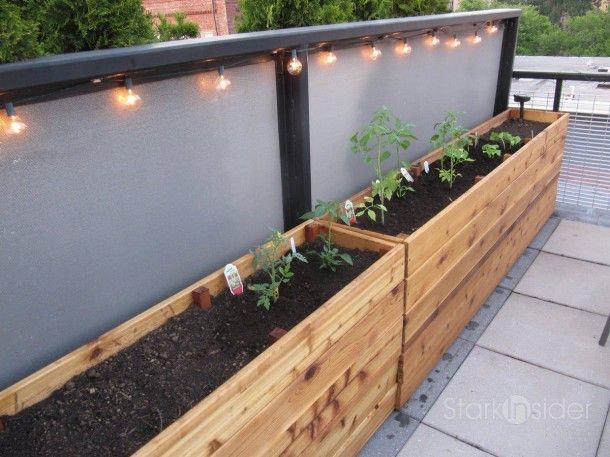 vegetable planter boxes plans | Urban Vegetable Gardening .