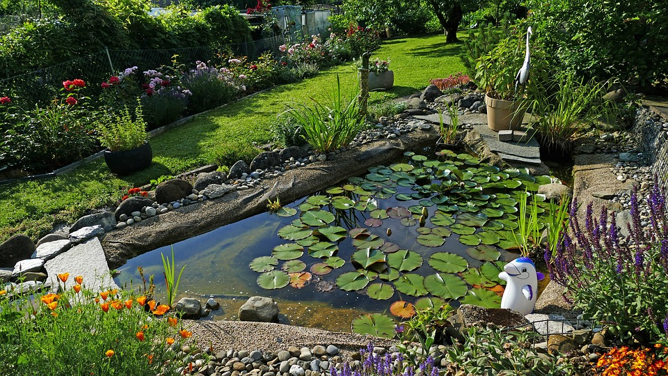 How to Create a Small Garden Pond • JCS Bl