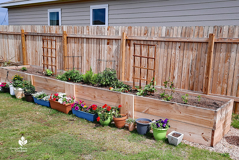 New Yard, New Gardeners Starting from Scratch | Central Texas Garden