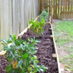 DIY Raised Garden Be