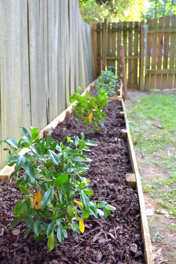 DIY Raised Garden Be