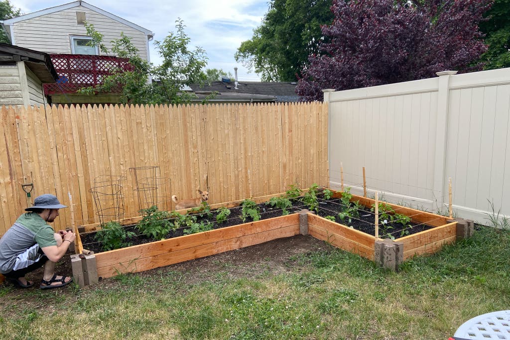 These Bricks Make Building Raised Garden Beds Simple | Wirecutt