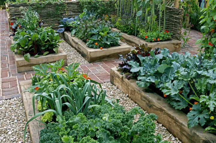 How to Plan for a Raised Garden Bed - BREPURPOS