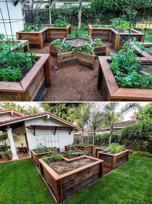 Raised Garden Bed Ideas & Plans 2024 | Family Food Garden .