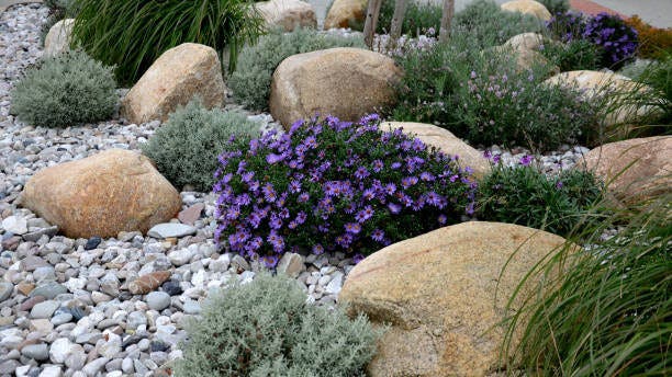 How Much Do River Rocks Landscaping Cost In 2024? – Forbes Ho