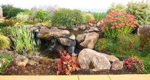 22 Rock Garden Ideas & How to Tips | Garden Desi