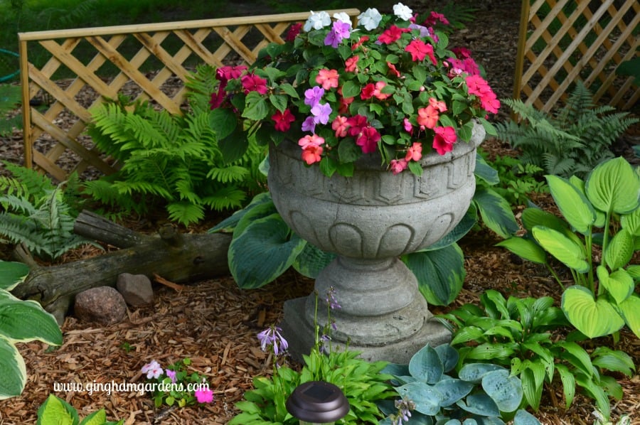 Made In The Shade Gardens (Beautiful Ideas for Your Shade Garden .