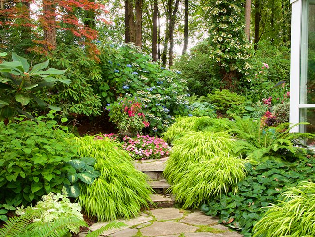 Shade Gardens: Ideas, Design & Inspiration | Garden Desi