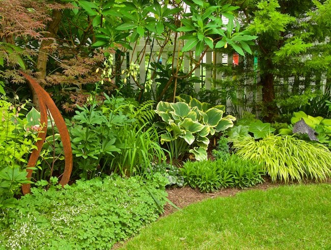 Shade Gardens: Ideas, Design & Inspiration | Garden Desi