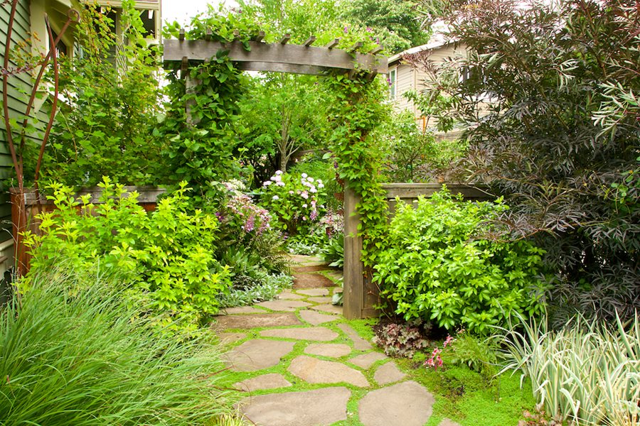 Side Yard Ideas, Landscaping, and Plants | Garden Desi