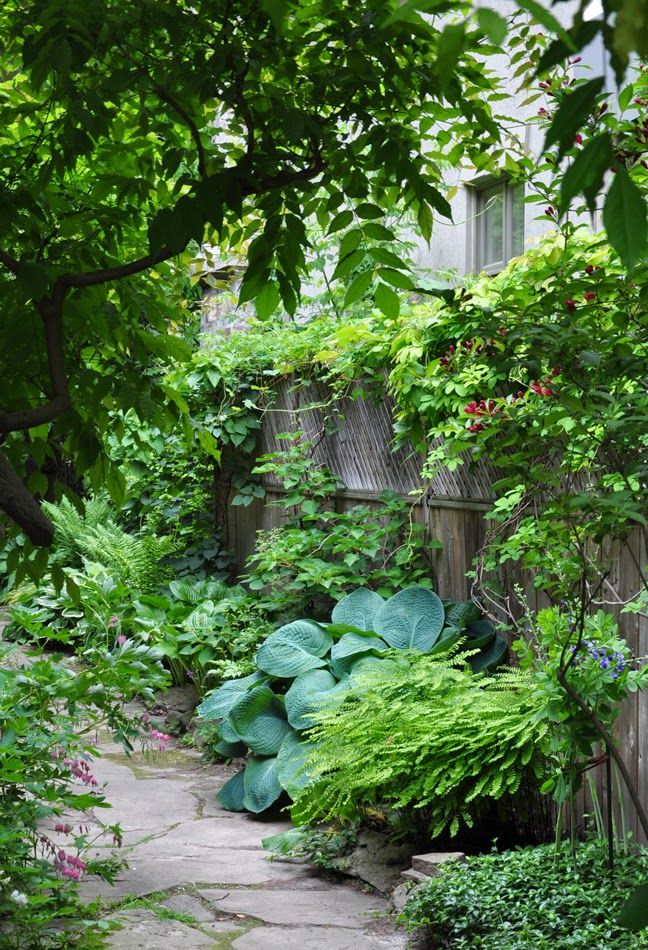 Gardening Ideas For The Narrow Garden Between Suburban Homes .