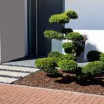 13 Cheap, Simple Front Yard Landscaping Ideas | Thumbta