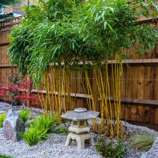 7 Japanese Garden for Small Backyard Ideas That Will Save You .