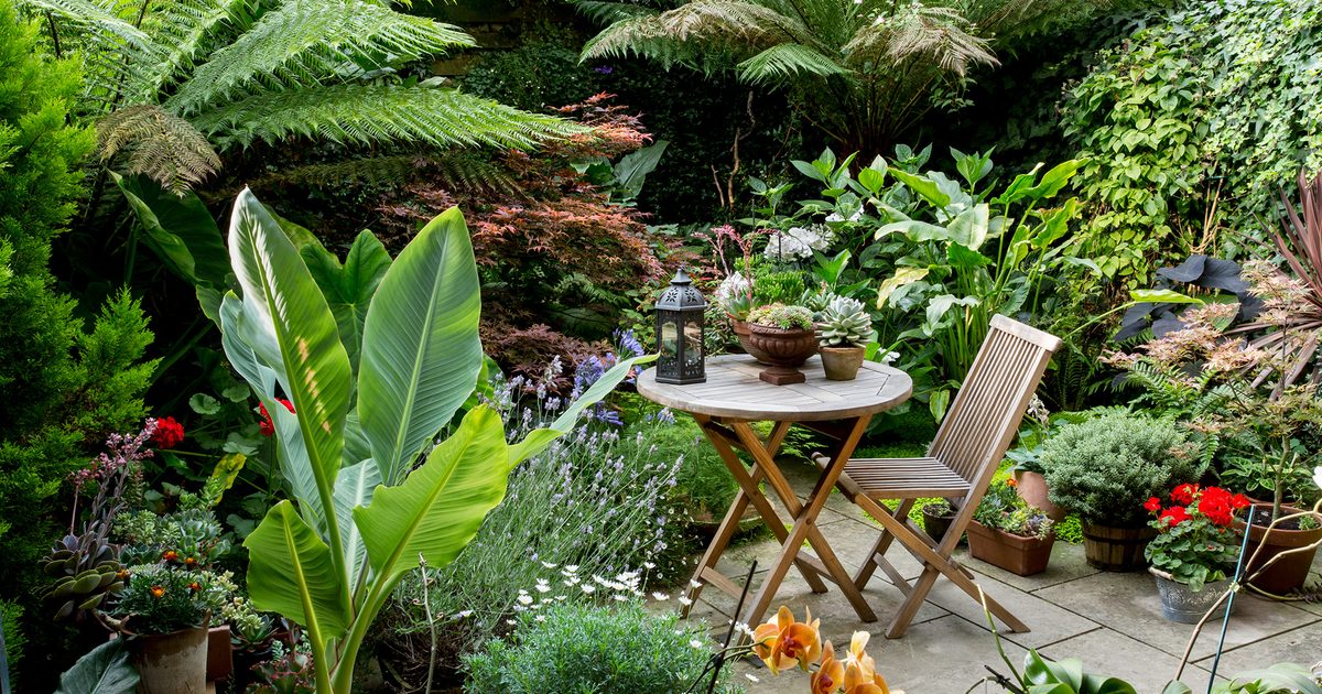 30 Small Garden Design Ideas | BBC Gardeners World Magazi