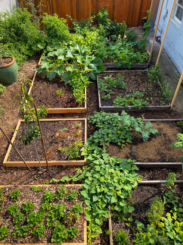 Raised Bed Gardening Vegetable Garden Tips for Beginners - Back to .