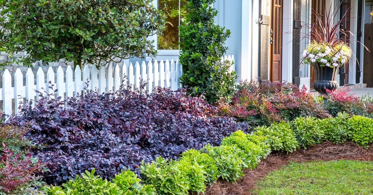 Small Garden, Big Impact: How to create depth in the landsca