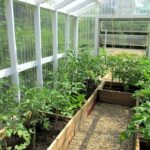 30 Beautiful Backyard Garden Design with Small Greenhouse Ide
