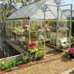 The Small Greenhouse in Early Spring – First Look Inside - Rabbit Hi