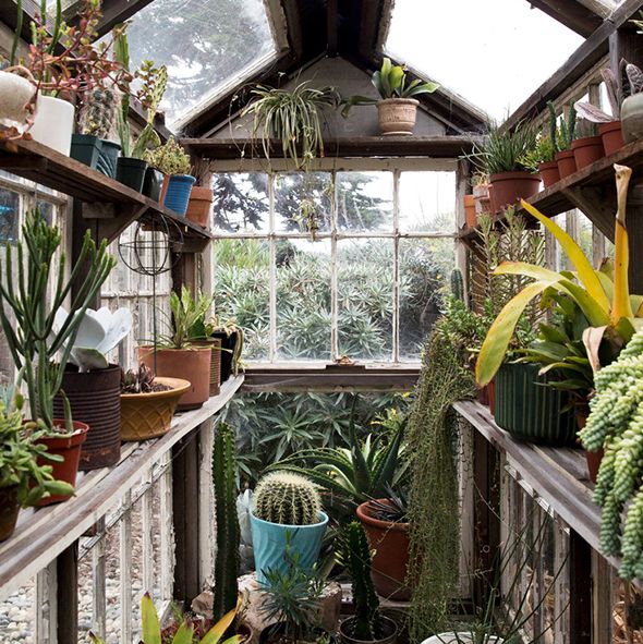 15 Greenhouse Ideas To Complete Your Dream Gard