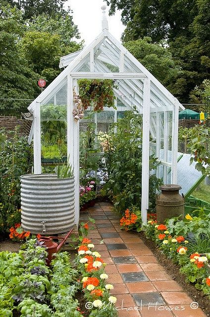 Greenhouse in the backyard :) | Backyard greenhouse, Garden design .