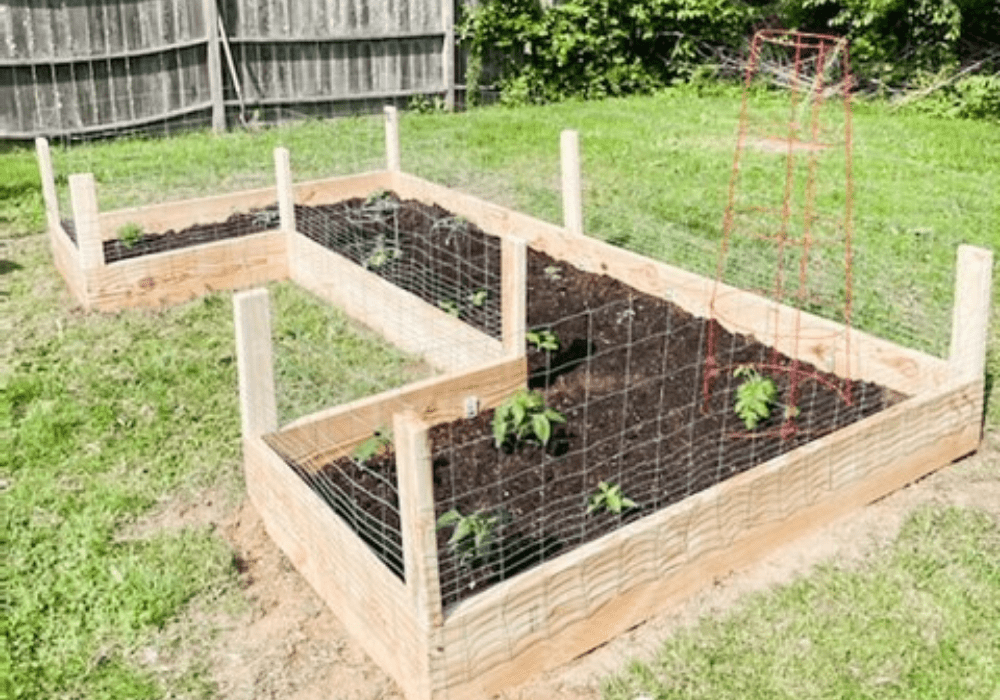 Why You Should Build A Small Garden With Your Kids This Summ