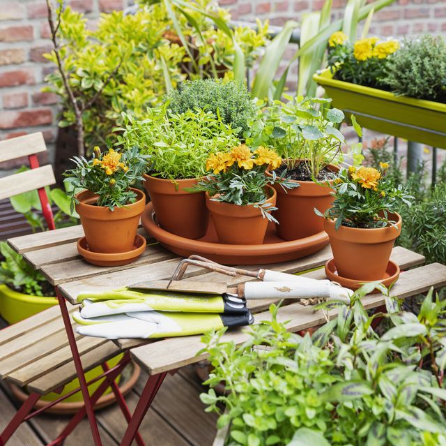 30 Best Small Garden Ideas - Clever Ideas for Small Garde