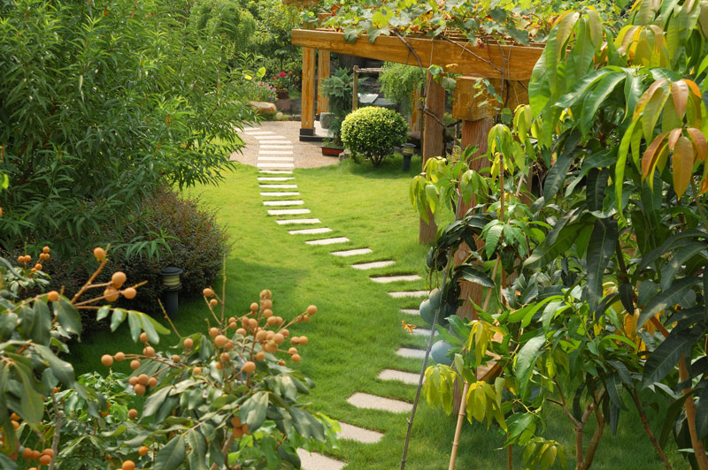 How to Create a Garden Oasis | GNH Lumber C