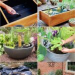 12 Best Easy DIY Pond Ideas For Garden & Patio - A Piece Of Rainb