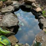 Loving the Garden Pond | I'm truly enjoying the small garden… | Flic