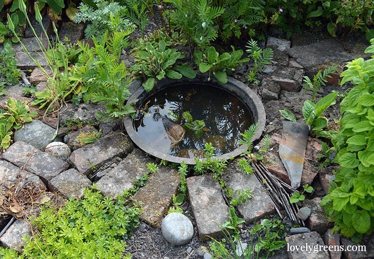 How to Build a Small Pond for the Garden • Lovely Gree