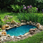 Best Small Pond Ideas and Tips to Transform Your Backyard | Living .