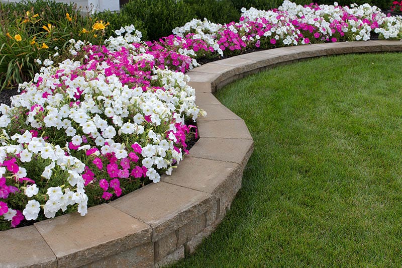 22 Practical and Pretty Retaining Wall Ideas | Trees.c