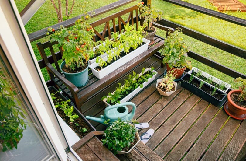 7 Small Space Gardening Ideas | Brookfield Residenti