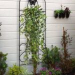 Metal Garden Trellis Keep Vine Plants & Flowers Off the Grou