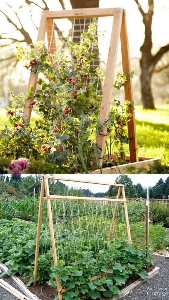 24 Easy DIY Garden Trellis Ideas & Plant Structures - A Piece of .