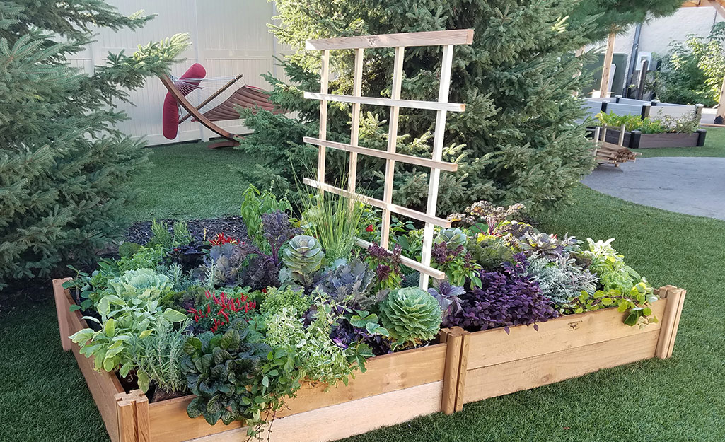 DIY Veggie Garden Trellis - The Home Dep