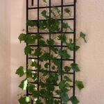Small Modern Wall Trellis. Made of steel. Galvanised and powder .