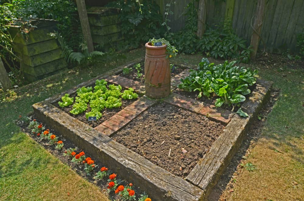 Growing Vegetables in Small Spaces - Gingham Garde