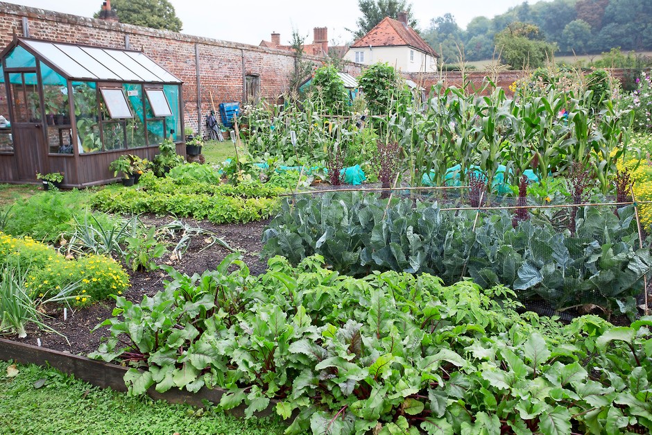 How to Make a Vegetable Patch | BBC Gardeners World Magazi