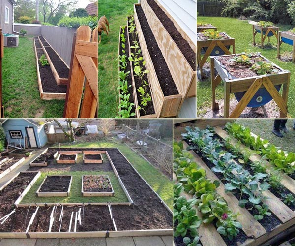 12 Ideas to Make a Small Vegetable Garden – Samuel Marcus – Bl