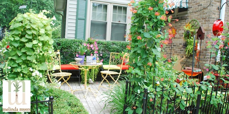 Small Backyard Gardening Ideas | Milorgani