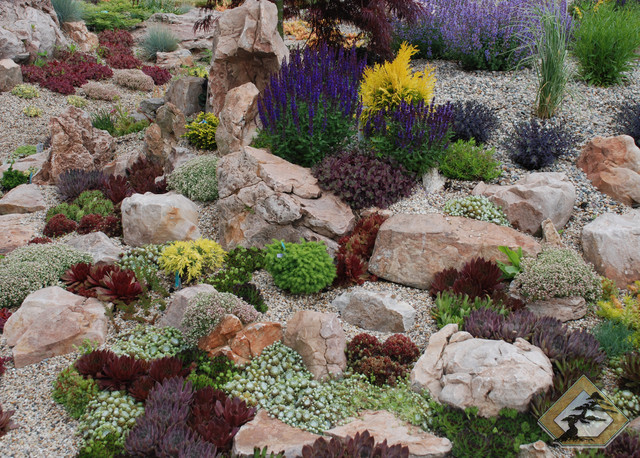 Succulent Rock Garden - Landscape - Grand Rapids - by Windscapes .