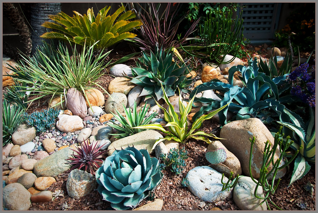 Rock Garden with Succulents | Low water can be lovely! | Flic